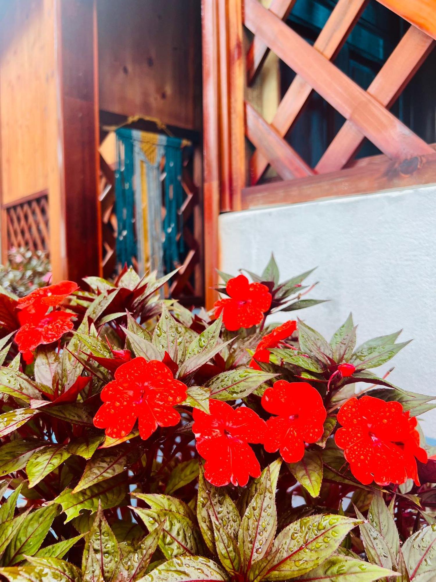 Vietnam Phuot Real Home Tỉnh Kontum Rom bilde